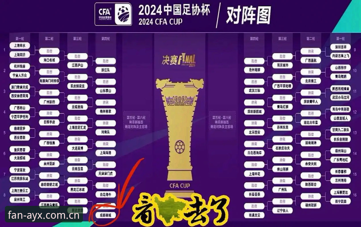 中国足协第三批禁足名单深度分析：65人受罚背后的行业震荡与平台观赛体验
